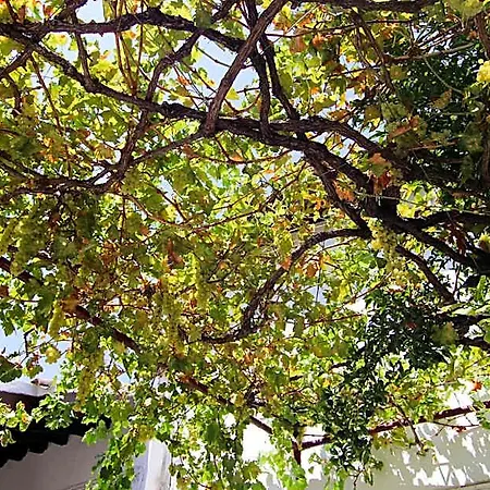 Gul Hanim House Boutique نيقوسيا