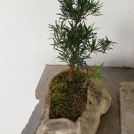 Gul Hanim House Boutique 3*