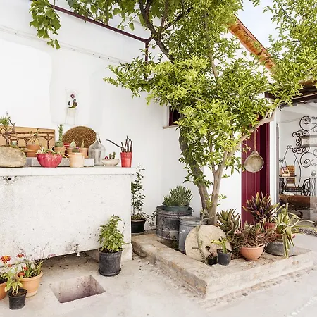 Gul Hanim House Boutique מלון