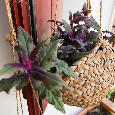 Gul Hanim House Boutique 3*