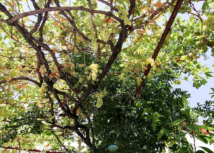 Gul Hanim House Boutique ホテル