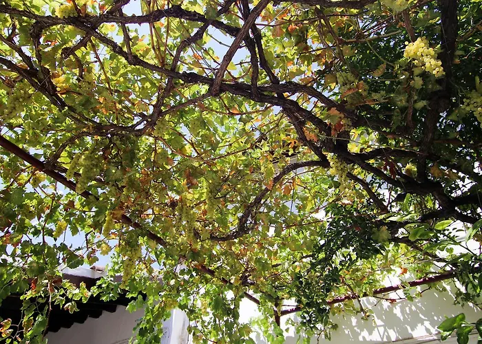 ホテル Gul Hanim House Boutique