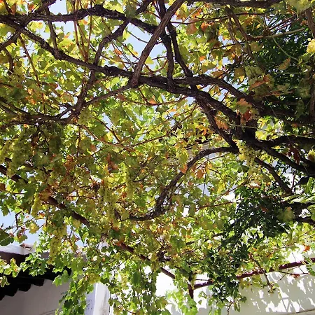 Hotel Gul Hanim House Boutique